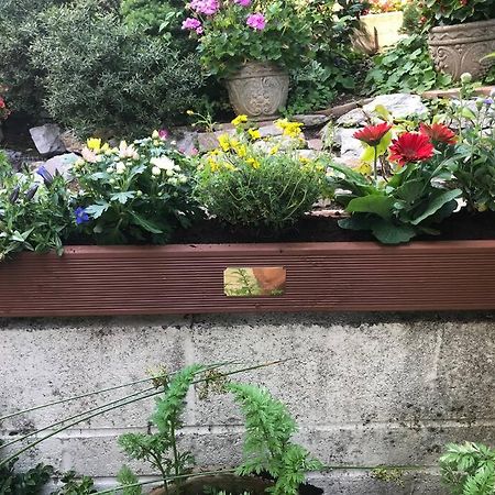 Bumble Bee Cottage 普里茅斯 外观 照片
